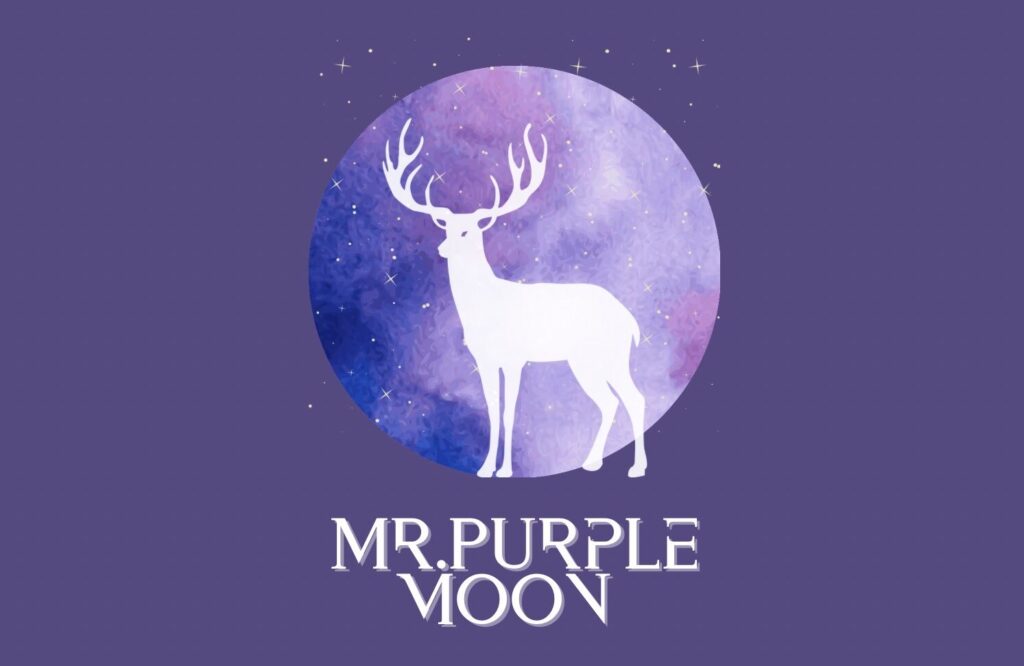 Mr.Purple moon